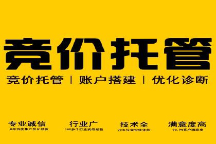 信息流投放策略：成功案例解析与效果评估